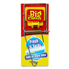 With no poisons or trapping mechanisms, this is a safe. The Big Cheese Fresh Baited Mouse Trap Rodent Control Webbs Garden Centre