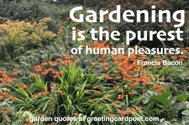 Gardening can be frustrating sometimes, so take inspiration from these garden quotes to recharge kevin is an avid gardener who loves reading related gardening and home improvement articles as. Garden Quotes And Gardening Sayings Flowers And Plants