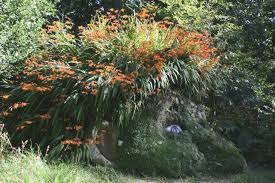 10 Of The Best Gardens To Visit In The Uk Lost Gardens Of Heligan Lost Garden Amazing Gardens