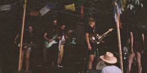 The Painted Roses