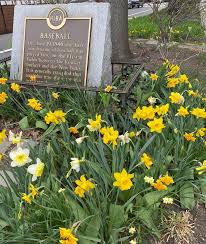 Phil Cohen, Hoboken's 5th Ward Councilman