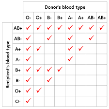 Conclusive Blood Donor And Recipient Chart Blood Donor Types