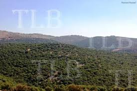 درجة الحرارة العظمى المتوقعة في إربد: Ø§Ù†Ø®ÙØ§Ø¶ Ø¹Ù„Ù‰ Ø¯Ø±Ø¬Ø§Øª Ø§Ù„Ø­Ø±Ø§Ø±Ø© Tlb News Ø·Ù„Ø¨Ø© Ù†ÙŠÙˆØ² Ù„Ù„Ø¥Ø¹Ù„Ø§Ù… Ø§Ù„Ø­Ø±
