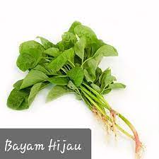 Dan bahan yang biasanya dijadikan sebagai. Biji Benih Sayur Bayam Hijau Kebun Kecil Tepi Rumah Facebook
