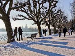 The links below include just a few banks and not a complete listing (pages mostly in german) Konstanz Natur Tafelentenschau