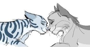 Gray Stripe Of Course You Can T Find A Picture Without Silver Stream In It They Were Star Crossed Lovers T Warrior Cats Fan Art Warrior Cats Art Warrior Cats