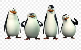 Rico the (mad) penguin :) rico:the penguins of madagascar photo (25562211). Rico Kowalski Skipper Penguin Madagascar Png 1600x1000px Rico Beak Bird Dreamworks Animation Film Download Free
