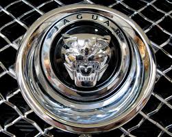 5 out of 5 stars. The Symbol Jaguar Jaguar Car Jaguar Xf