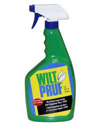 I'm now doing my second application of wilt pruf about a month later. Wilt Pruf Anti Transpirant 980 Ml Canadian Tire