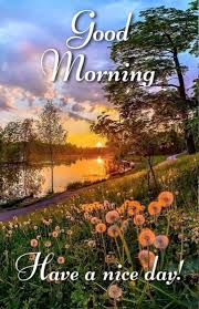 Wonderful good morning nature mobile image. 818 Nature Good Morning Images Photos Flowers Pictures