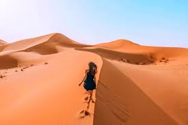 Dubai desert safari in the surrounding sandy desert is a thrilling and electrifying experience. Morning Desert Safari Dubai Tour With Camel Rides Outdoortrip