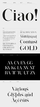 24 inch x 30 inch lettering: 30 Vitamin Inspo Ideas Font Inspiration Typography Fonts Vitamins