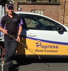 While diy pest control has many advantages, it also has its disadvantages. Pest Control Franchise For Sale Express Business Group Franchise Opportunities New Zealand