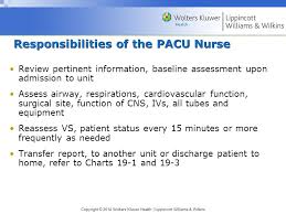 Chapter 17 Preoperative Nursing Management Ppt Video