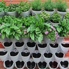 This hanging planter is constructed of metal with a glossy finish and contains 3 pockets for organizing your home or office supplies. Self Watering Vertical Wall Hangers With Pots Included Wall Plant Hangers Each Wall Mounted Hanging Growing Herbs At Home Wall Plant Hanger Plastic Plants