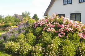 Ob romantischer rosengarten, mondäner villengarten oder geradliniger garten passend. Garten Neuanlagen Willi Petersen Sohn Garten Und Landschaftsbau Sylt