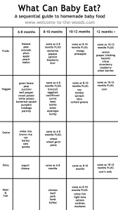 Feeding Chart For Baby Food Homemade Baby Food Made Easier