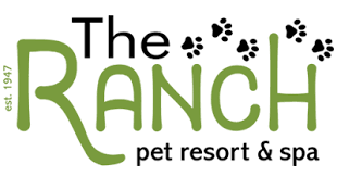 Akc star puppy, basic obedience, sent work, rally and private lessons available; The Ranch Pet Resort In Livermore Ca Pet Boarding Dog Daycare Dog Grooming