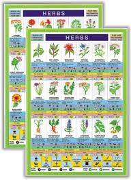 Herbs Mini Chart