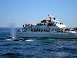 Translations of the phrase she blows from english to indonesian and examples of the use of she blows in a sentence with translation of she blows in indonesian. Free Photo Thar She Blows Boats Bspo06 Ocean Free Download Jooinn