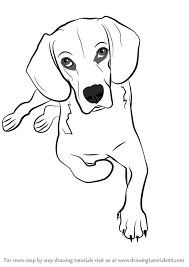 Learn how to draw dog sitting down pictures using these outlines or print just for coloring. Learn How To Draw A Sitting Dog Dogs Step By Step Drawing Tutorials