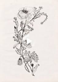 Home flower tattoo wildflower tattoos. Garlic Butter Steak And Potatoes Skillet In 2021 Floral Tattoo Sleeve Wildflower Tattoo Tattoos