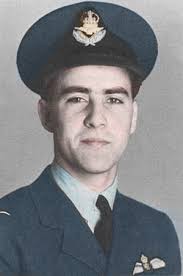 Paying Homage to Wing Commander Ford, by Robert de Vries