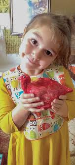 Annual Report 2016-2017