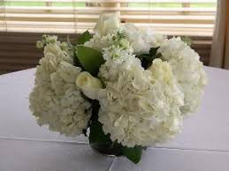 The data in this listing is believed to be accurate in our florist directory at the time of posting. Bluebells Winchester Va Wedding Flowers