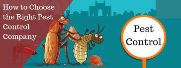 How we chose the best pest control companies. How To Choose The Right Pest Control Company In Gurgaon Termite Control In Gurgaon