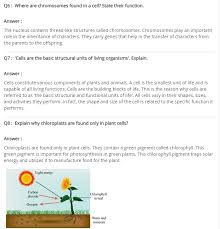Ncert Solutions For Class 8 Science Cell Structure And Functions Science Cells Cell Structure Structure And Function