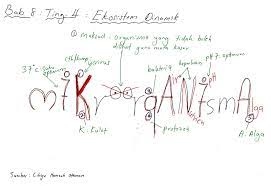 *synthesis organic substances / food from nutrients & sunlight. Bijak Tekun Nota Kreatif Biologi Tingkatan 4 Bab 8