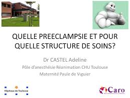 She was made famous as the subject of the painting la belle paule by painter henri rachou, which is housed today in the capitole de toulouse. Quelle Preeclampsie Et Pour Quelle Structure De Soins Dr Castel Adeline Pole D Anesthesie Reanimation Chu Toulouse Maternite Paule De Viguier Ppt Telecharger