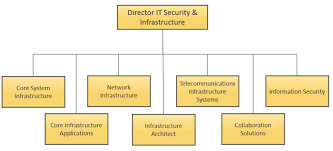 It Infrastructure Organization Chart Www Bedowntowndaytona Com