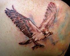 Tattoos wildlife tattoo art tattoo tattoo designs tatt tattoo blog anchor tattoo anchor tattoos pieces tattoo. 15 Osprey Tattoo Ideas Tattoos Osprey Cool Tattoos