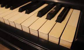 Cleaning piano keys is an essential part of your piano's maintenance process. 15 Ways To Clean Piano Keys