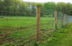 Best Type Of Fence For Sheep Wire Fence Field Fence Welded Wire Fence