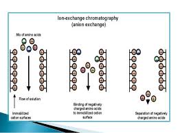 Researchers at pnnl have drastically increased the speed and separation of ions by tackling one problem: Ion Exchange Chromatography