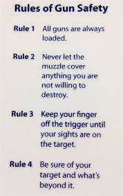 Important firearms safety rules at the range treat every firearm as if it were loaded. 1 0 G U N S A F E T Y R U L E S P R I N T A B L E Zonealarm Results