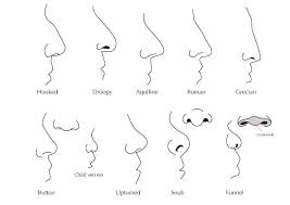 As a child, i was fascinated with the phrase grecian nose and felt quite the sophisticate whenever i managed to work it into my stories. Fa Fashion