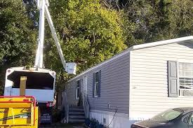 Visit & look for more results! Tree Trimming Newport News Va Reliable Tree Service