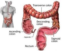 homemade colon cleanse recipe to help