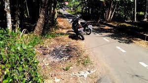 We did not find results for: Tanah 20 Ubin Youtube