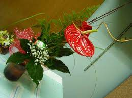 Osmi mart (dan žena), dan zaljubljenih (valentinovo), dan majki, novu godinu kao i sve druge prilike. Cvece Dudin Blog