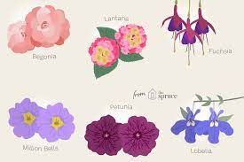 They are not only off the grid, but they are also practical. 10 Best Flowers For Hanging Baskets