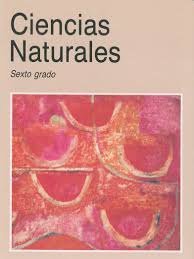 Libro completo de ciencias naturales sexto grado en digital, lecciones, exámenes, tareas. Libro De Sexto Grado Ciencias Naturales Primaria Sexto Grado Ciencias Naturales Libro De Texto By Santos Rivera Issuu Bloque Iv Sexto Grado Imagenes En Espejos Y Lentes Espejo Plano Un