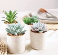 Amazon.com: Nisoger Plantas suculentas artificiales en ...
