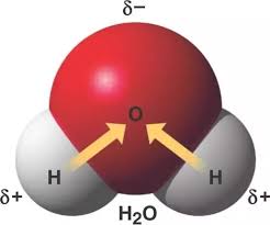 Check spelling or type a new query. How Are Polar Covalent Bonds Formed Quora
