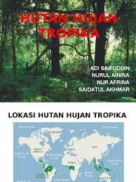 • terdapat empat lapisan utama iaitu : Hutan Hujan Tropika Update