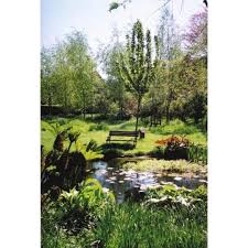 The self realisation meditation healing centre is surrounded by outbuildings set in peaceful gardens amid the rural countryside and teaches life skills, yoga and charity: The Open Pathway Retreat Centre Yeovil Yoga Yell